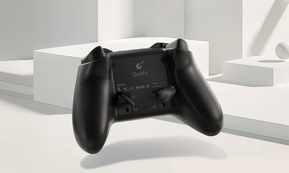 2 Metalen Achtervleugels