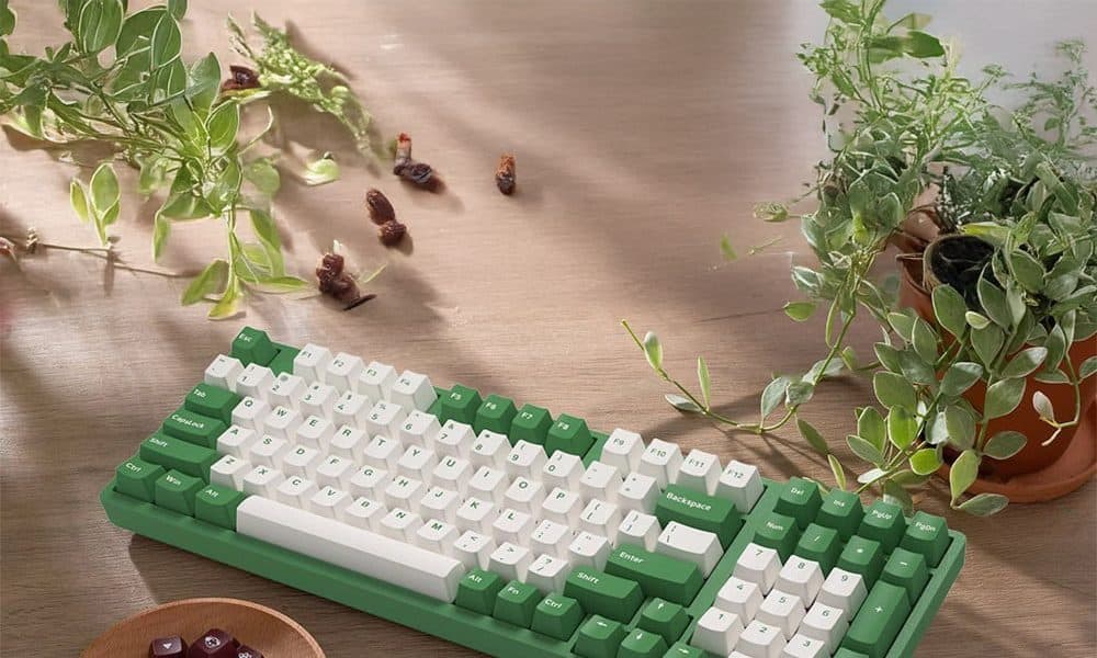 Akko Matcha Red Bean 3098B Plus