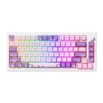 AKKO MOD 007 HE PC Purple Melody Hall Effect Magnetische Switch RGB Hotswap Mechanisch Gaming Toetsenbord