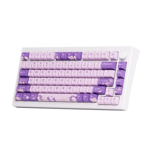 Akko Mod 007 He Pc Purple Melody Hall Effect Magnetische Switch Rgb Hotswap Mechanisch Gaming Toetsenbord 5