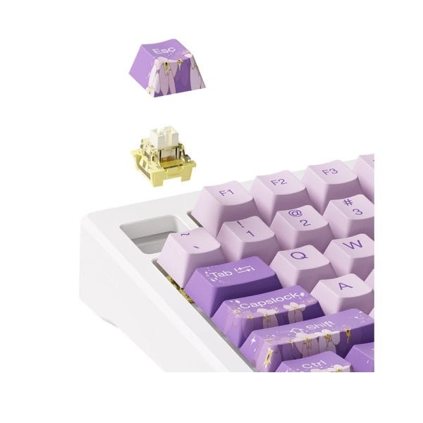 Akko Mod 007 He Pc Purple Melody Hall Effect Magnetische Switch Rgb Hotswap Mechanisch Gaming Toetsenbord 8