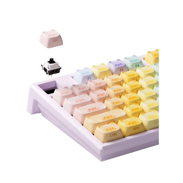 Akko Monsgeek Mg108b Colorful Cats Rgb Draadloos Hotswap Mechanisch Gaming Toetsenbord 5