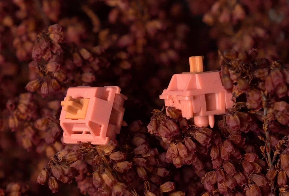 Akko Rosewood 5pin (45 stuks) Linear Switch H3