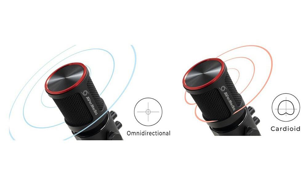 Dubbel Opnamepatroon