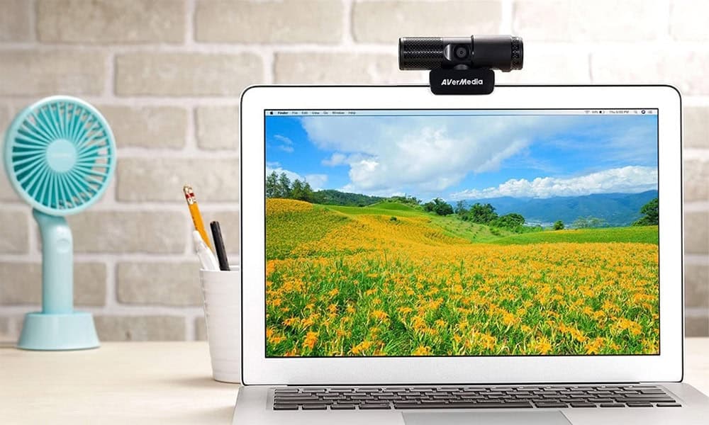 Live Streamer CAM 313