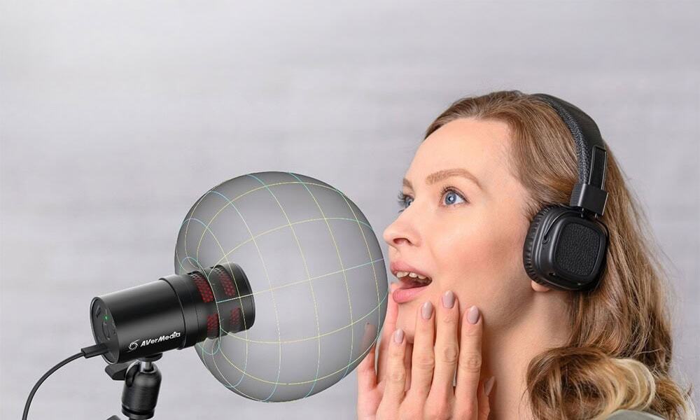 Gerichte Geluidsopname