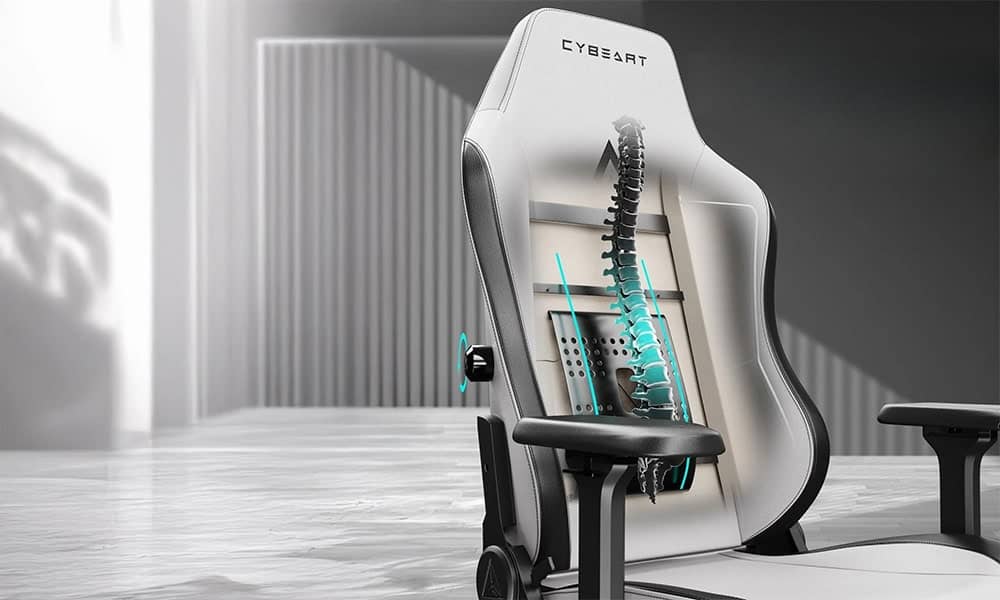 Verstelbare Lendensteun