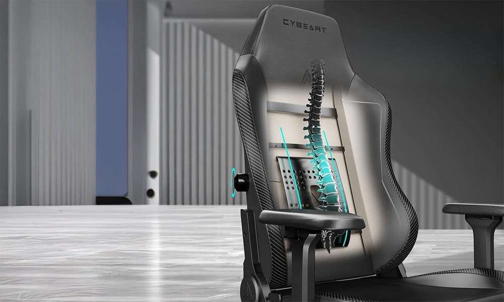 Verstelbare Lendensteun