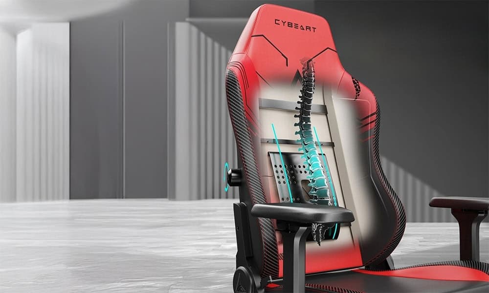 Verstelbare Lendensteun