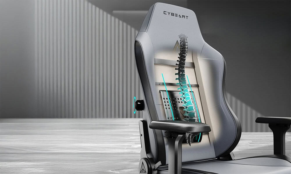 Verstelbare Lendensteun