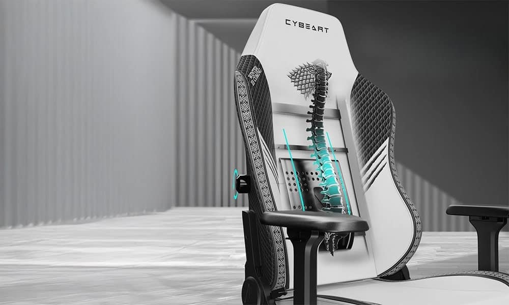 Verstelbare Lendensteun