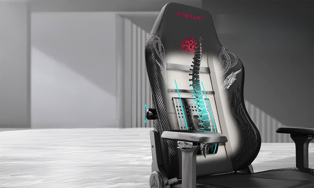 Verstelbare Lendensteun