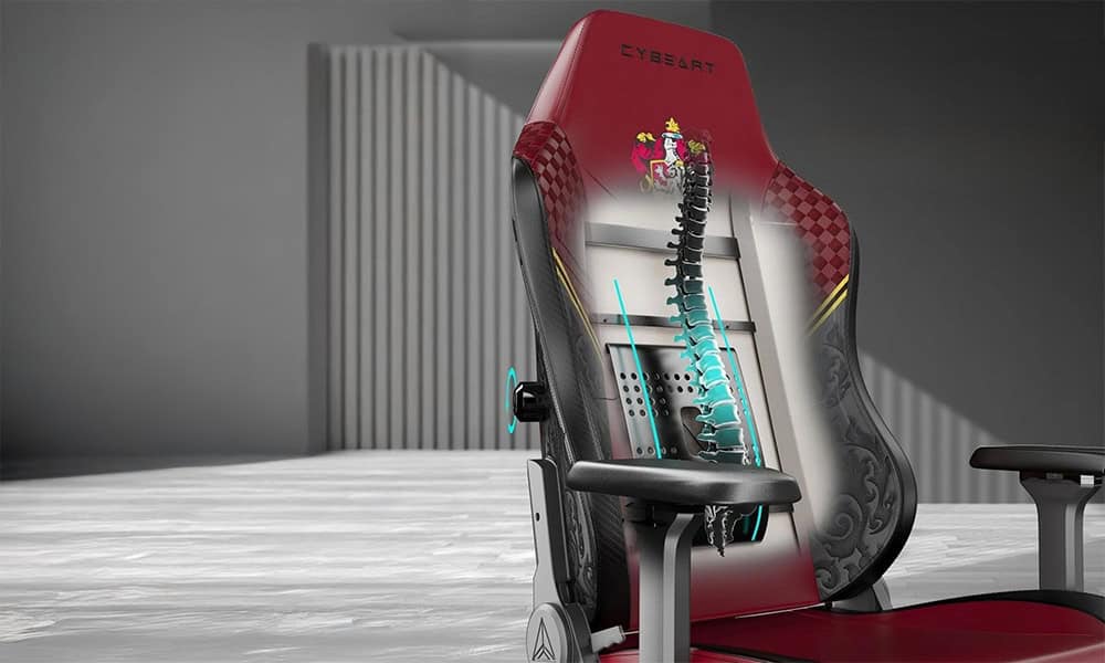 Verstelbare Lendensteun