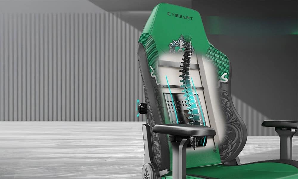 Verstelbare Lendensteun