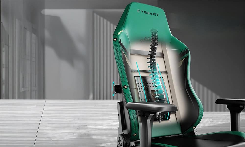 Verstelbare Lendensteun