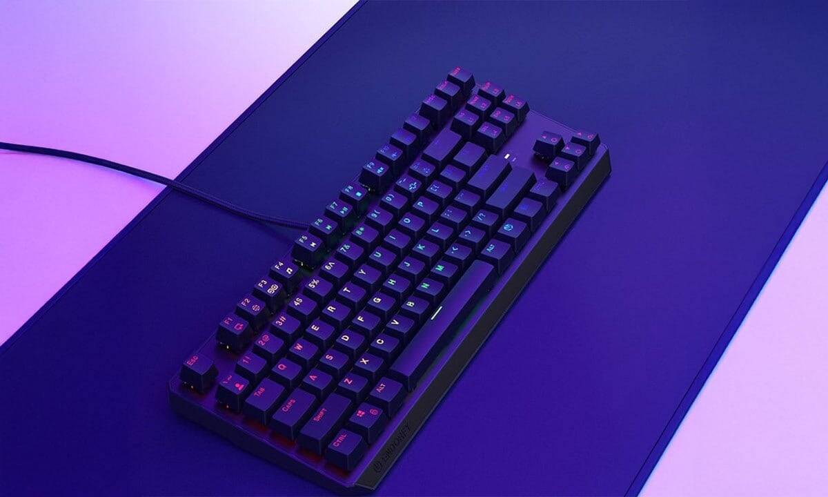 Een groot wapen in een kleine hand