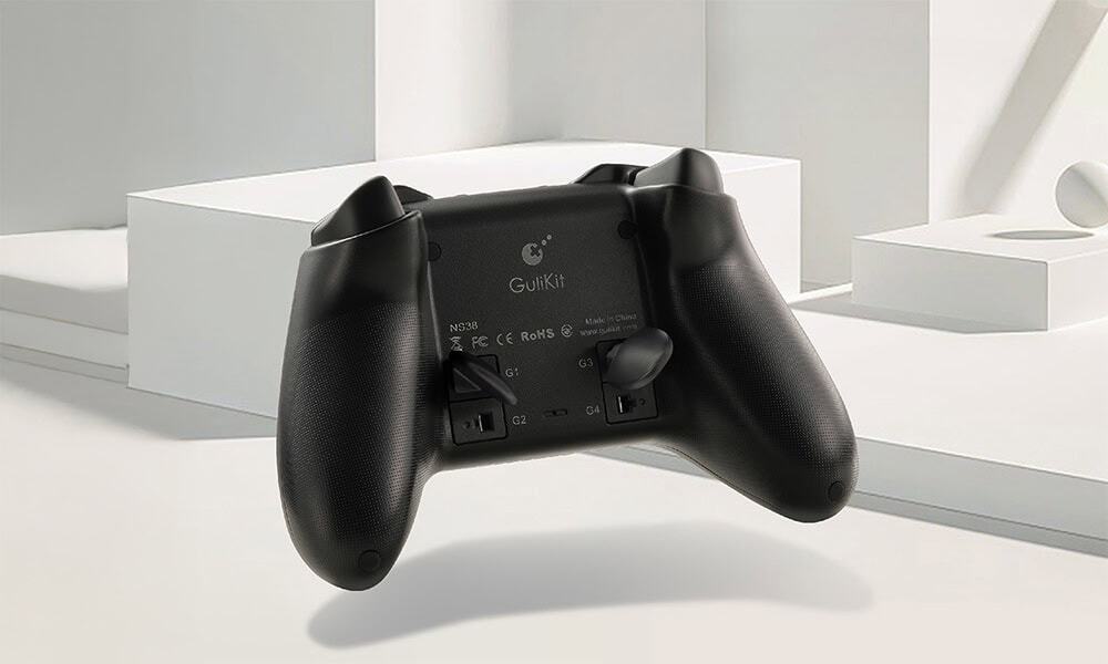 2 Metalen Achtervleugels