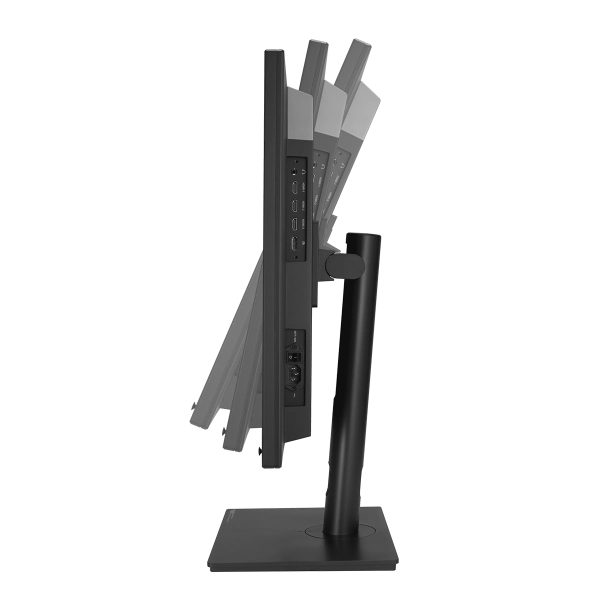 Asus Proart Oled Pa32dc 31 5 Inch 60hz 1ms 4k Uhd Oled Pivot Monitor 24