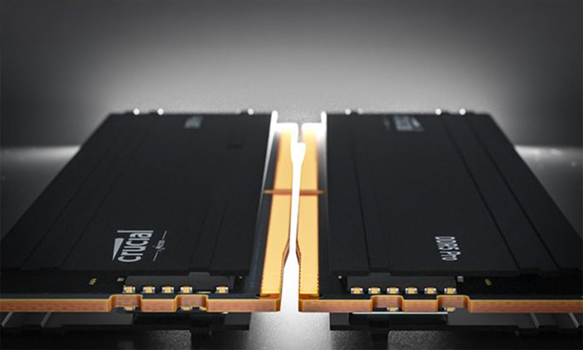 Crucial Pro 16GB DDR5 RAM modules met snelheden van 5600MHz, ontworpen voor optimale prestaties op Intel XMP 3.0 en AMD EXPO platforms, ideaal voor gaming en high-performance computers.