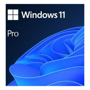Microsoft Windows 11 Pro 64 Bit Oem Nl Besturingssysteem Fqc 10528 1