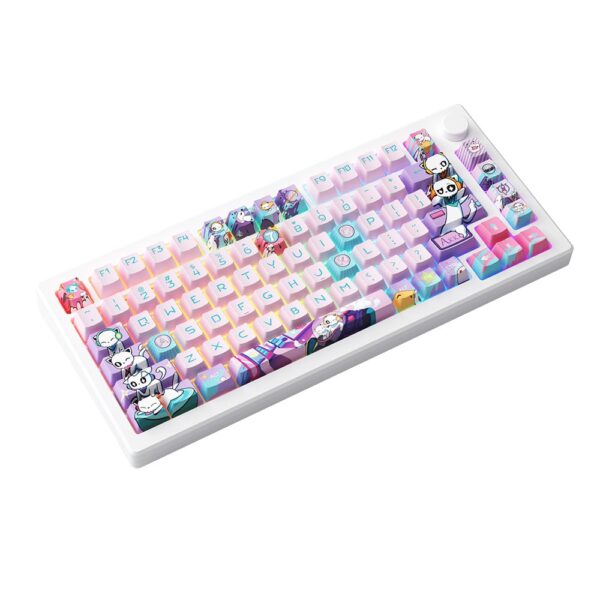 AKKO MOD 007B HE PC - Gaming toetsenbord met magnetische switches en RGB-verlichting.