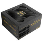 Enermax REVOLUTION III 850W 80+ Gold PCIe 5.1 Volledig Modulair ATX 3.1 Voeding (ERV850G-AHG-MAC)