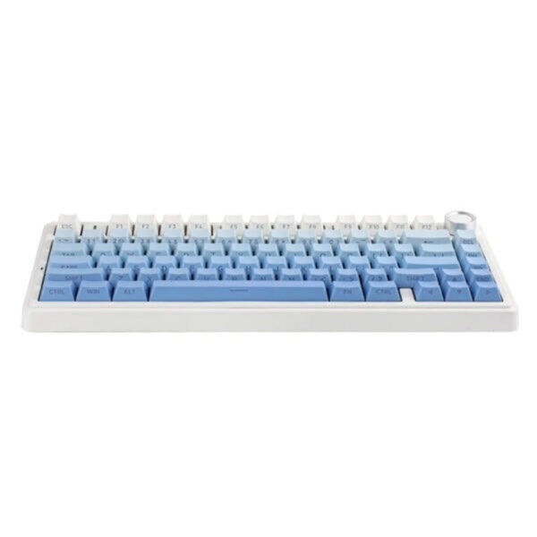 Compact mechanisch gaming toetsenbord met blauwe schakelaars, RGB-verlichting en draadloze connectiviteit, ideaal voor gamers en typisten die op zoek zijn naar kwaliteit en stijl.