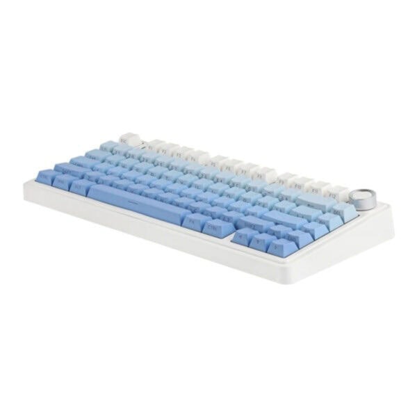 Compact mechanisch gaming toetsenbord met blauwe LEOBOG Reaper switches, RGB-verlichting en draadloze connectiviteit, ideaal voor gamers en computerliefhebbers.