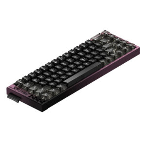 Mechanisch gaming toetsenbord met Midnight Purple afwerking, 65% layout, magnetische Omega switches, RGB-verlichting, hall effect, hot-swappable schakelaars, ideaal voor gamers.
